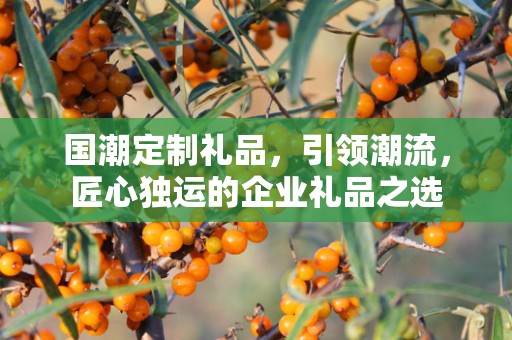 国潮定制礼品，引领潮流，匠心独运的企业礼品之选
